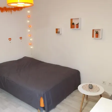 Capitole Baronie - Nice Vintage Studio, City Center, Pedestrian Area * Toulouse