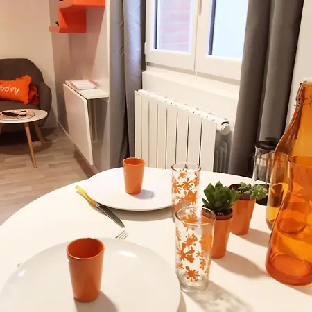 Capitole Baronie - Nice Vintage Studio, City Center, Pedestrian Area * Toulouse